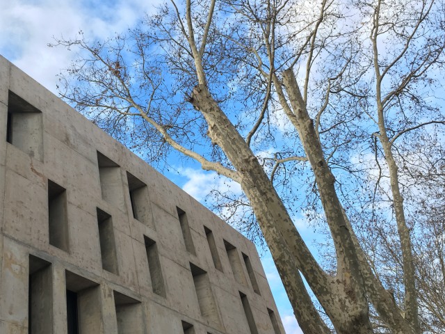ARCHIVO PATRONIMICO