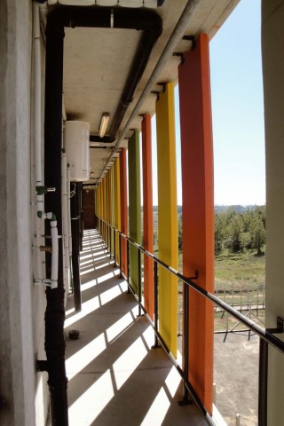 carancho-4